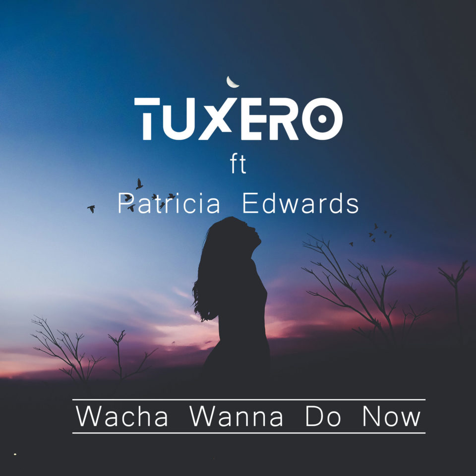 Wacha wanna do now ft Patricia Edwards